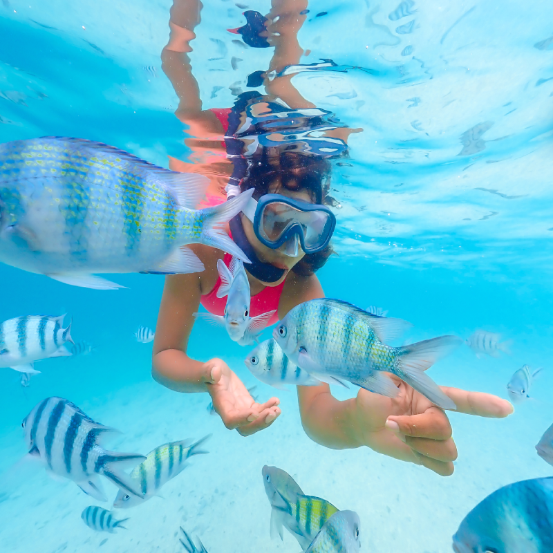 5 Incredible Snorkeling Experiences in Hurghada – Explore Colorful Coral Reefs